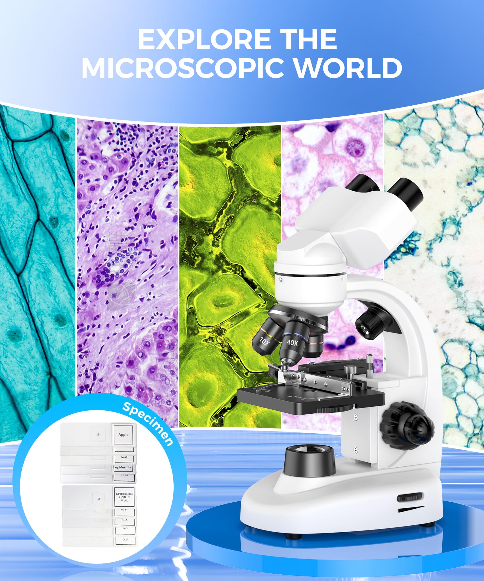 PalliPartners Compound Binocular Microscope for Professionals image