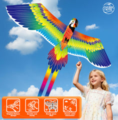 Durable lightweight Parrot Kite for stable sky posture