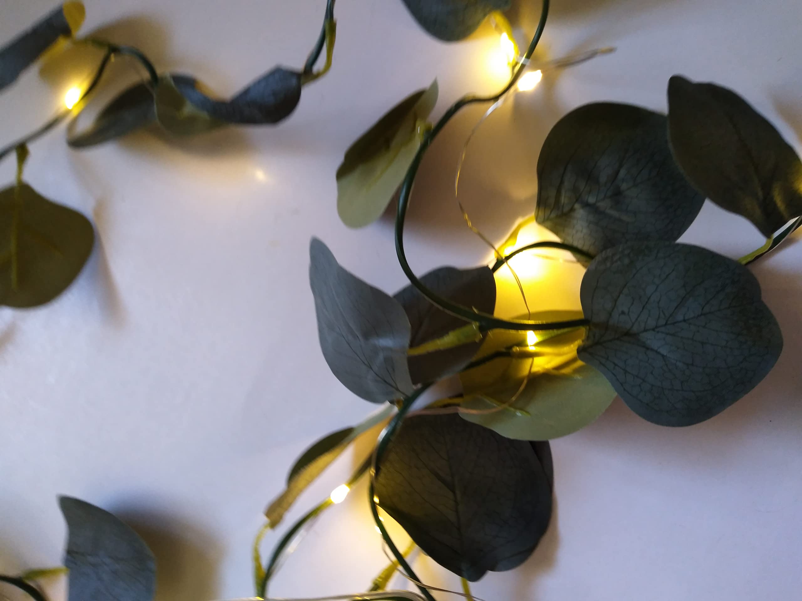 Party wedding decor eucalyptus garland lights