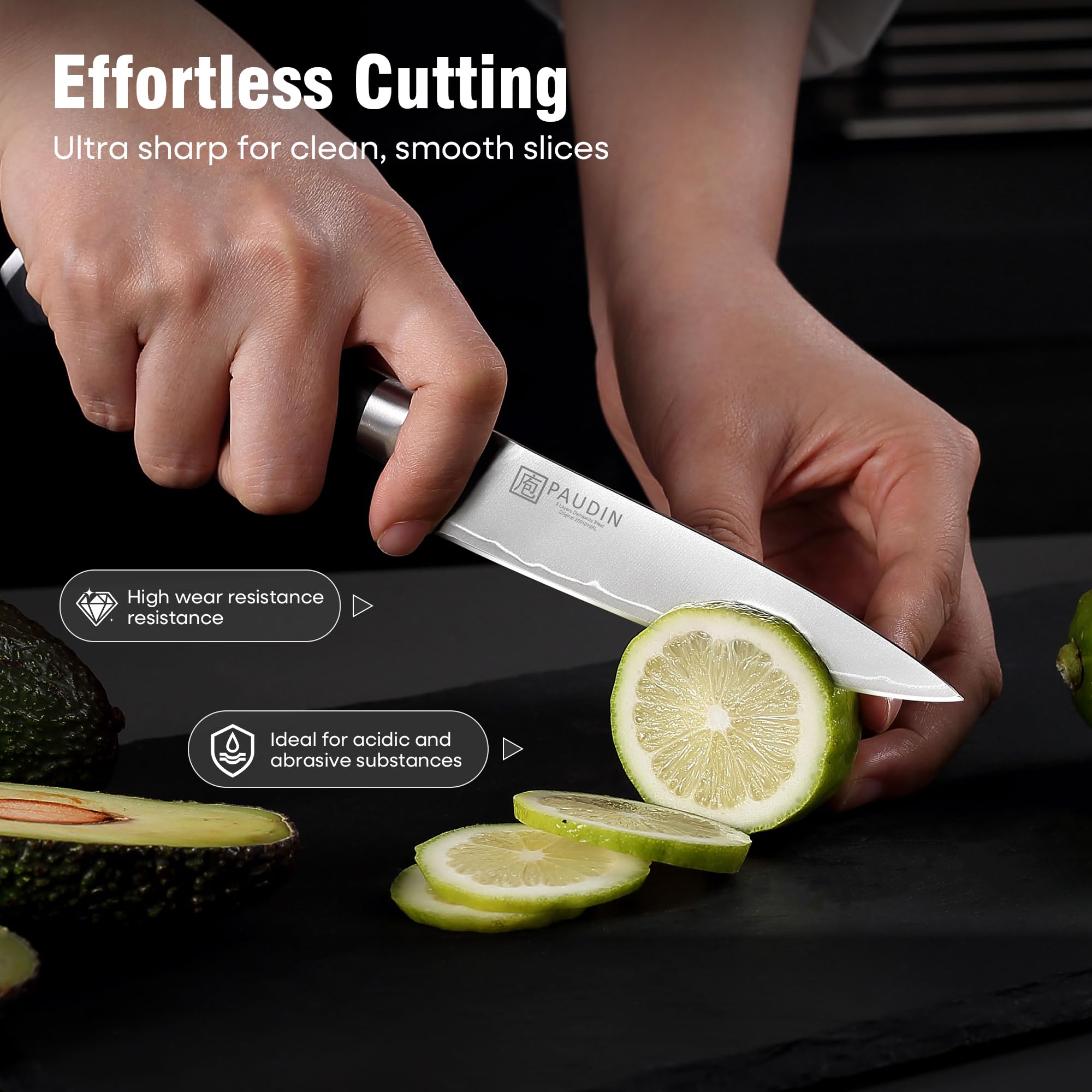 PAUDIN 8 inch chef knife blade close-up