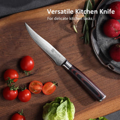 Ergonomic pakkawood handle PAUDIN knife