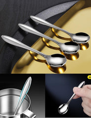 PAVNSO 10 piece condiments spoons set