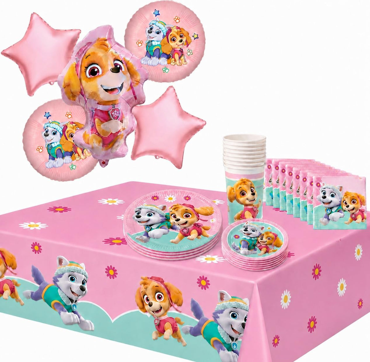 Paw Patrol Skye and Everest 9in plates set