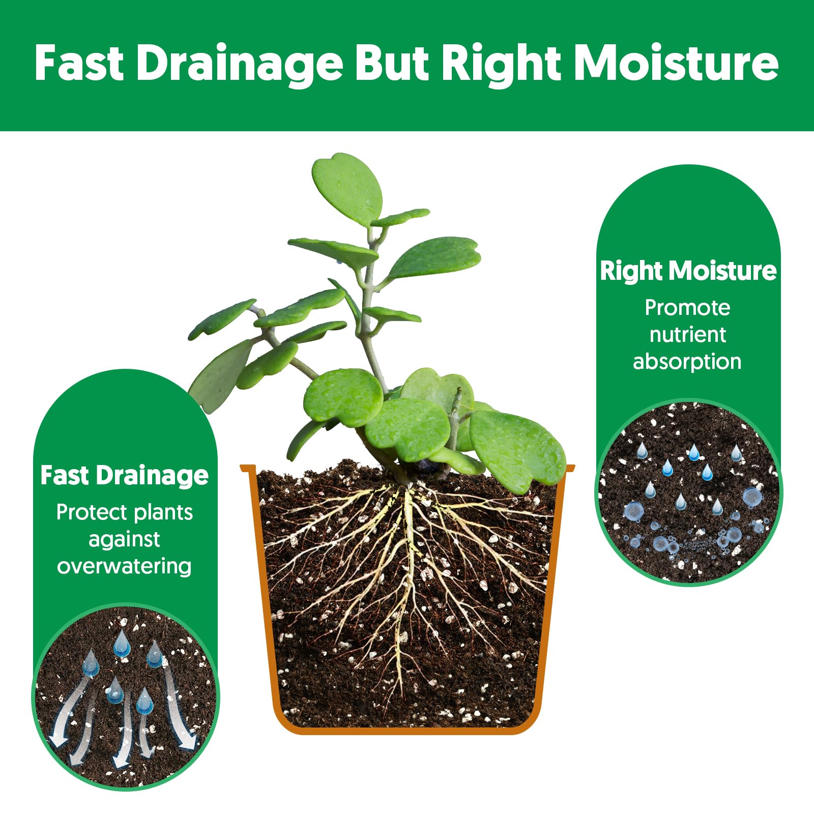 peat moss and perlite 75-25 composition in soil mix