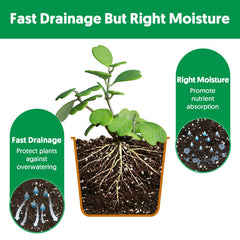 peat moss and perlite 75-25 composition in soil mix