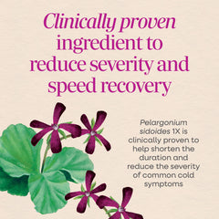 Pelargonium sidoides 1X and Alpha CF blend in Umcka syrup