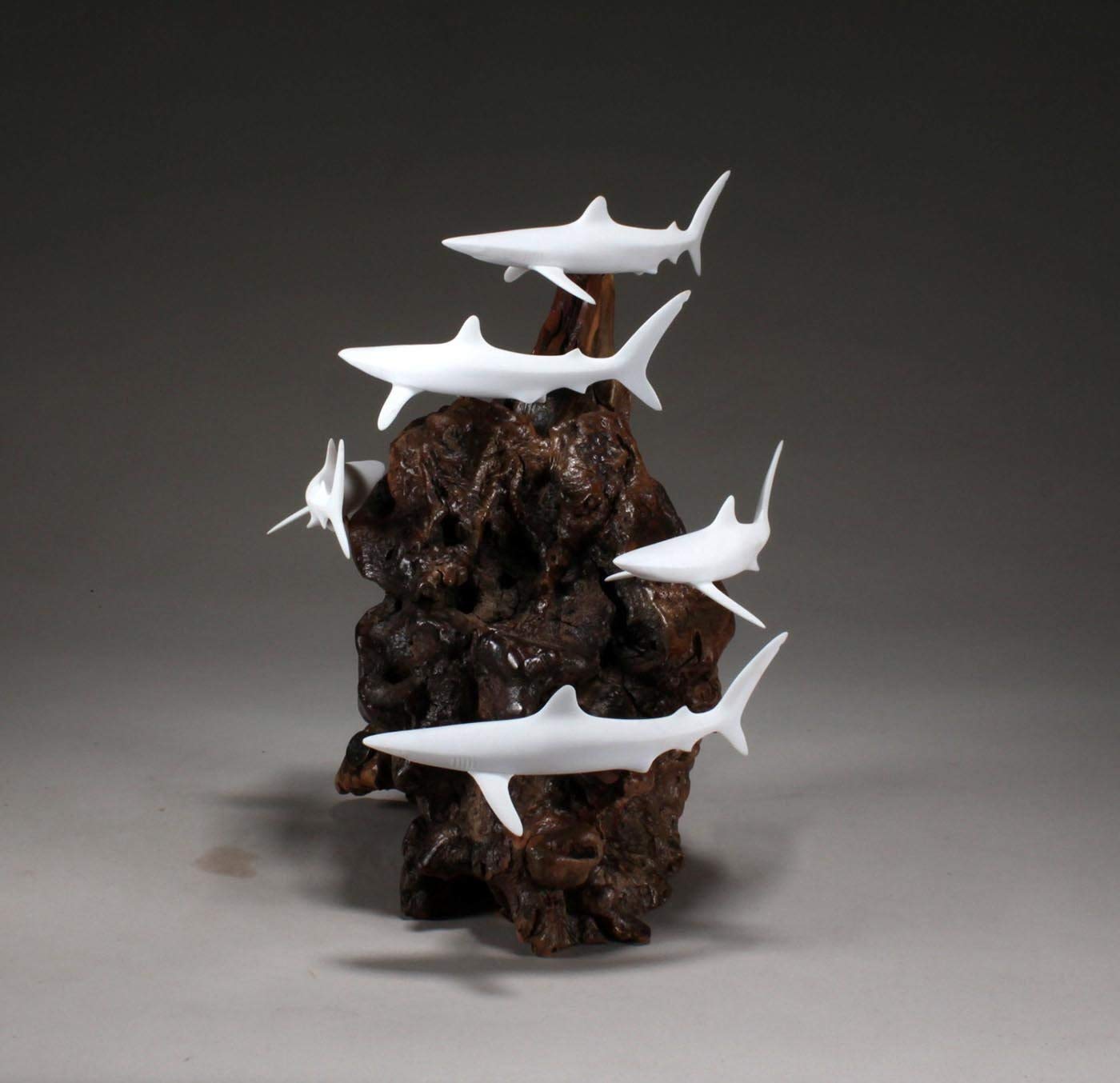 Pellucida sharks detail in sculpture