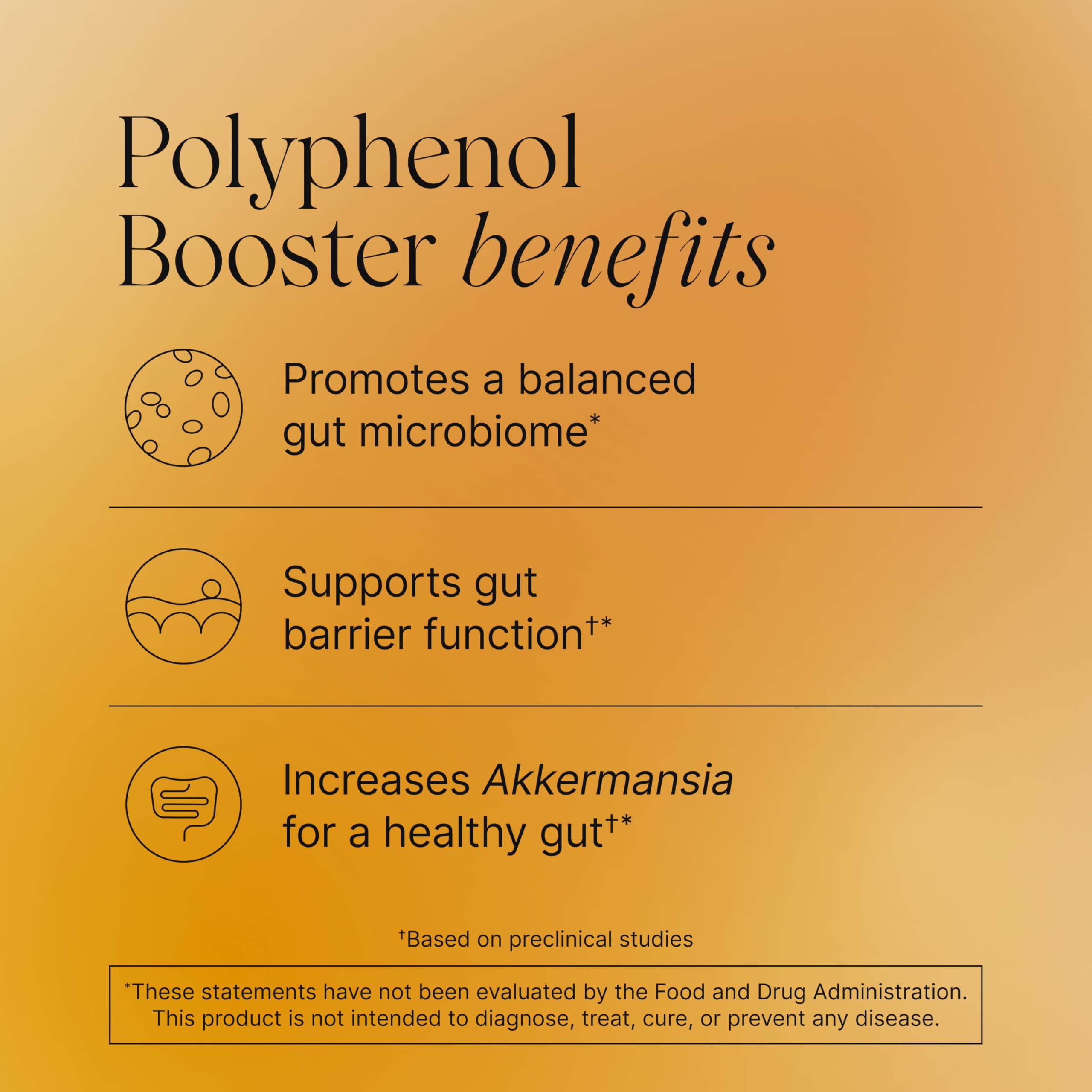 Akkermansia-based probiotic support