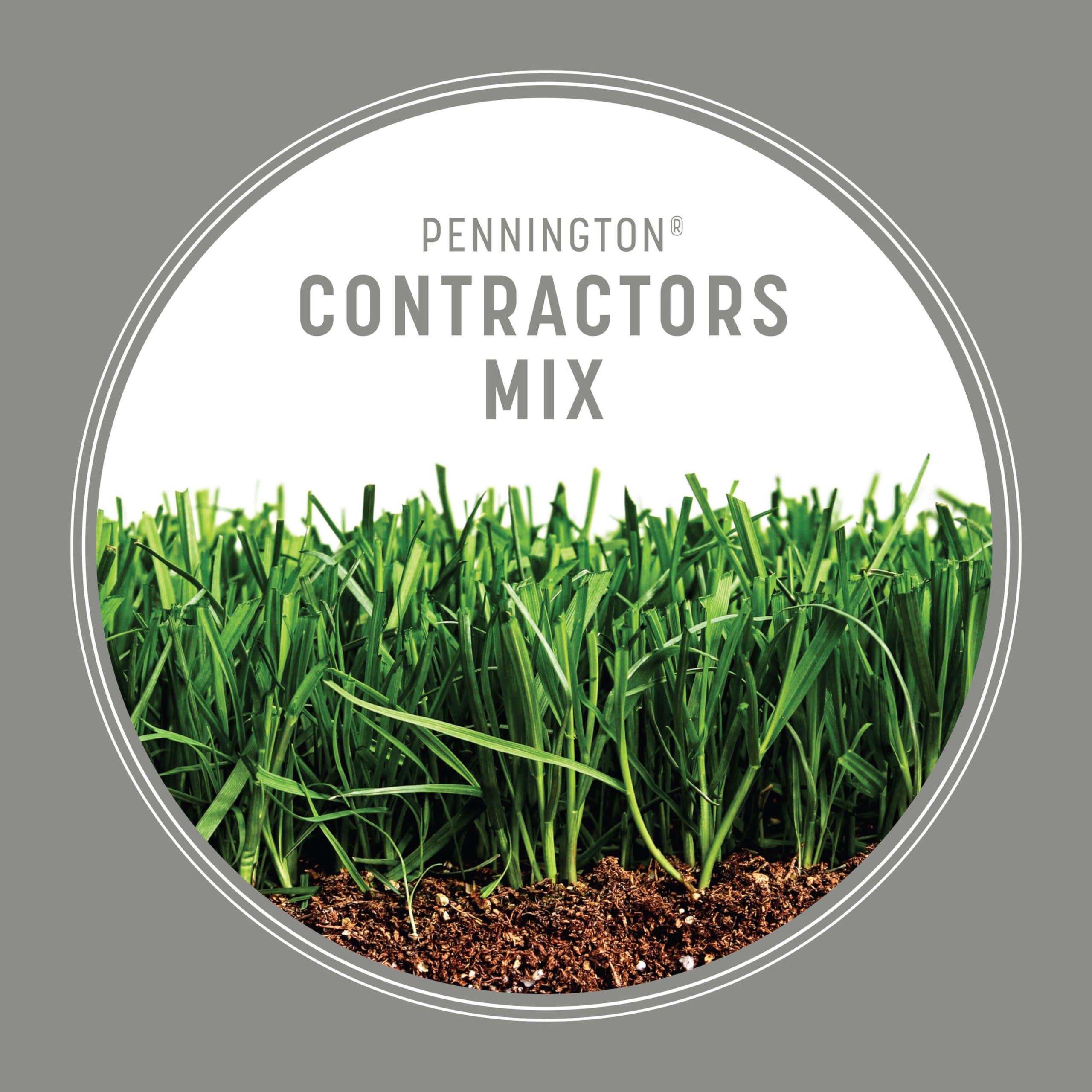 Spring and fall planting lawn seed mix