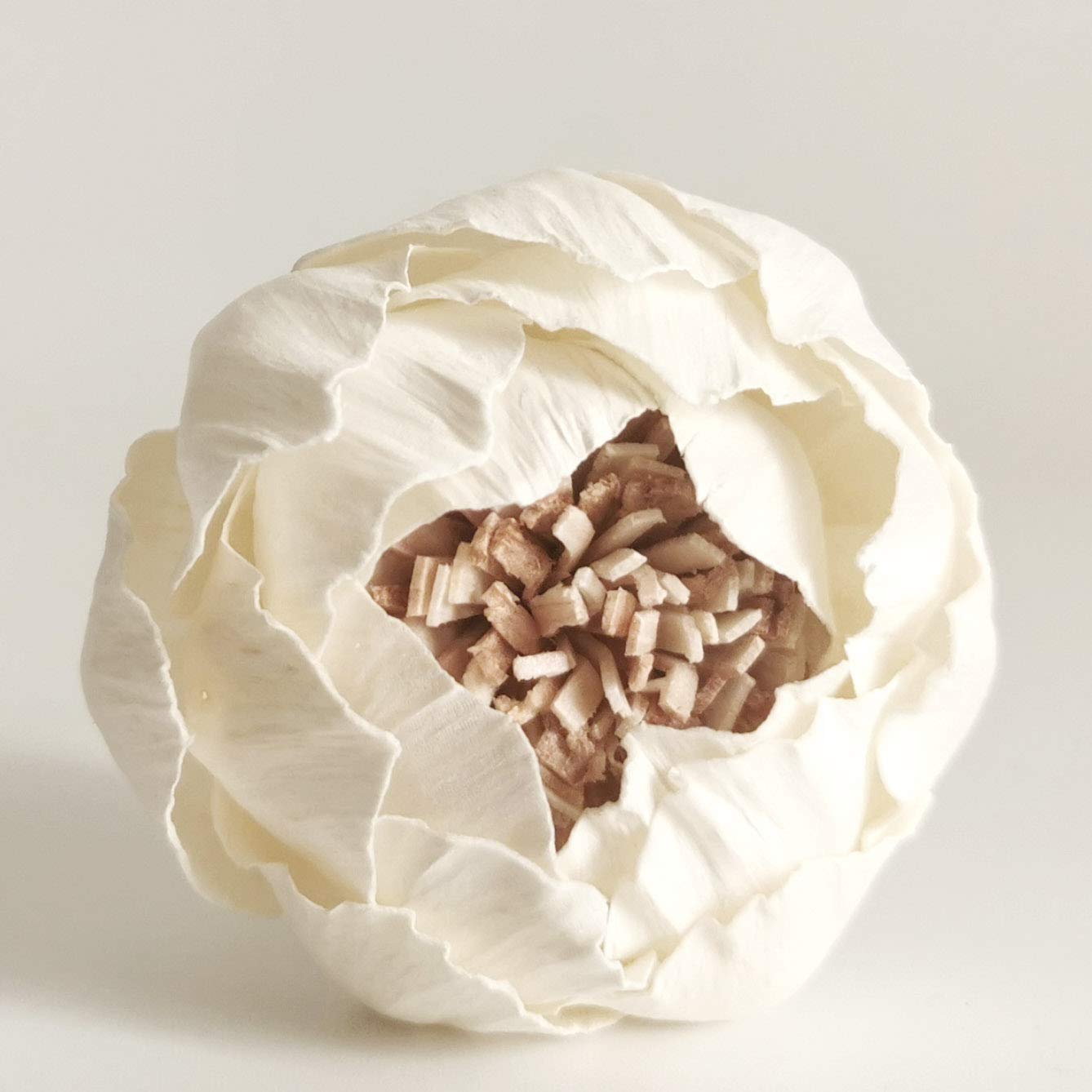 Sola Flower 2 inch diameter with reeds for diffuser by Plawanature