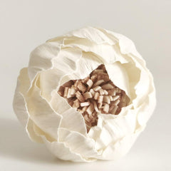 Sola Flower 2 inch diameter with reeds for diffuser by Plawanature