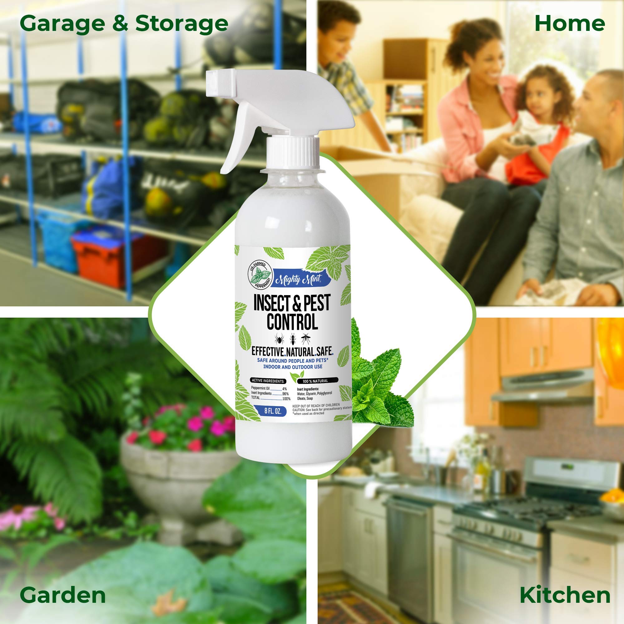 Peppermint oil used for spiders and ants pest control