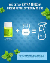 Peppermint oil spray for mice and rats 16oz bottle