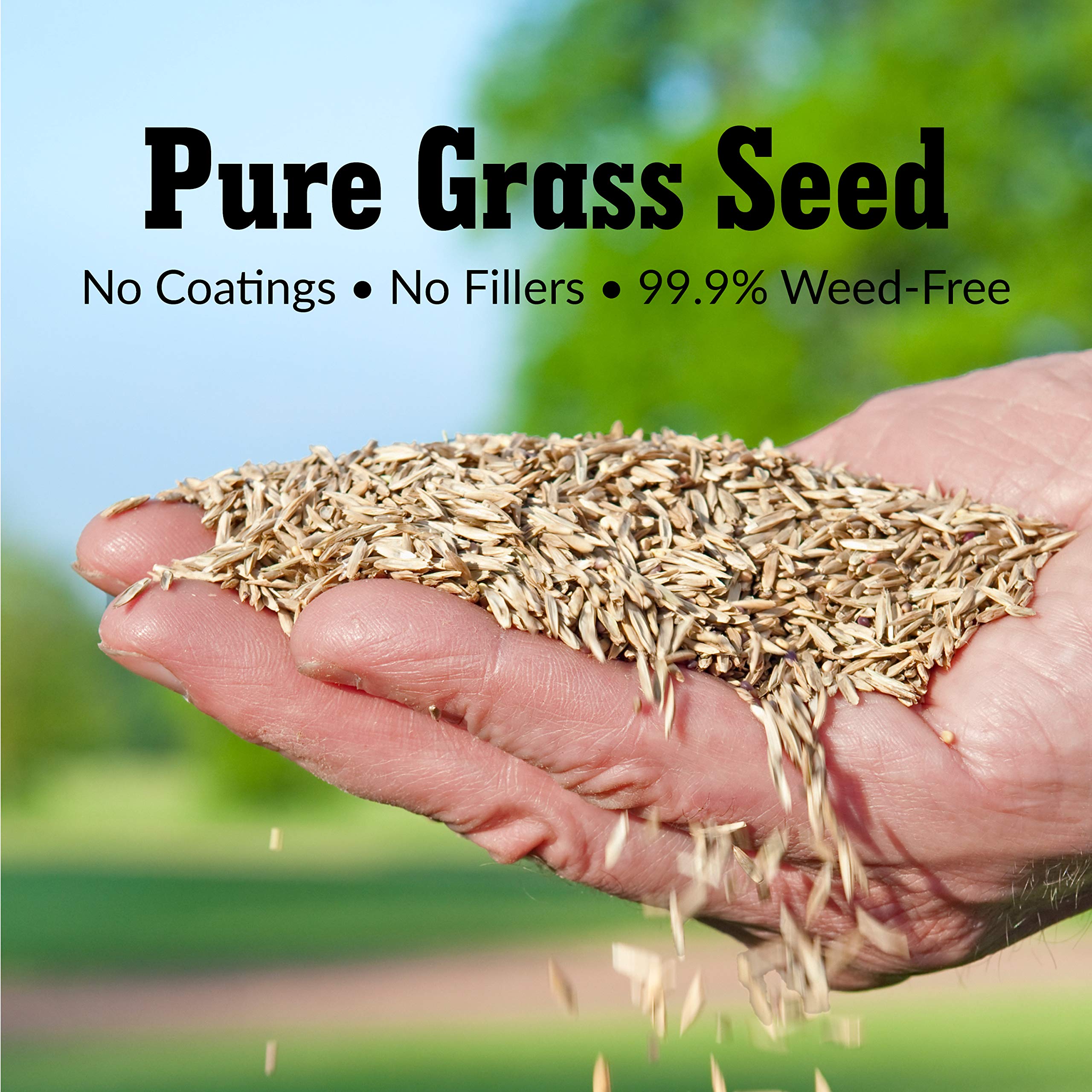 GreenView ryegrass seed blend designed for heavy foot traffic lawns