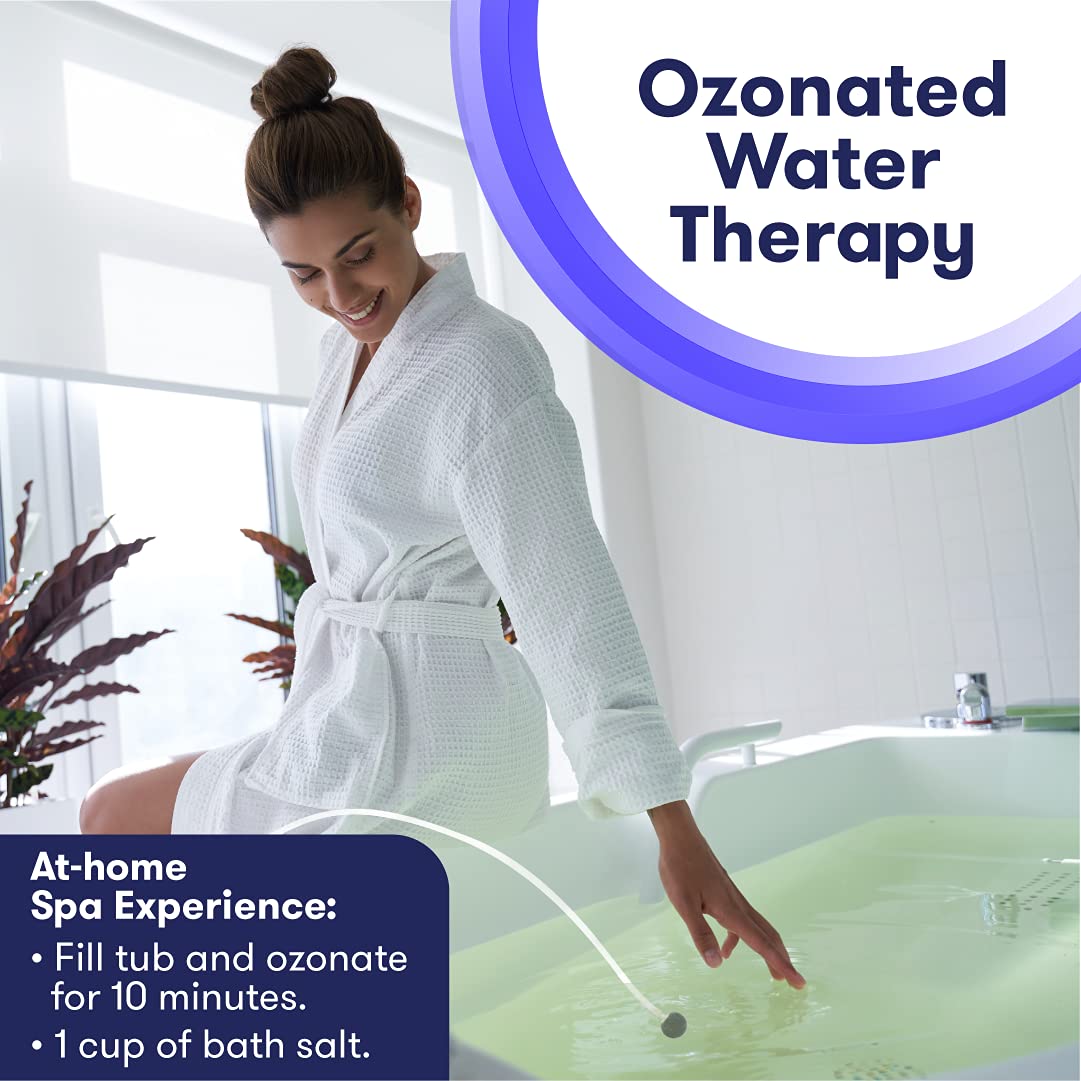 600 mg/hour ozone output badge on unit