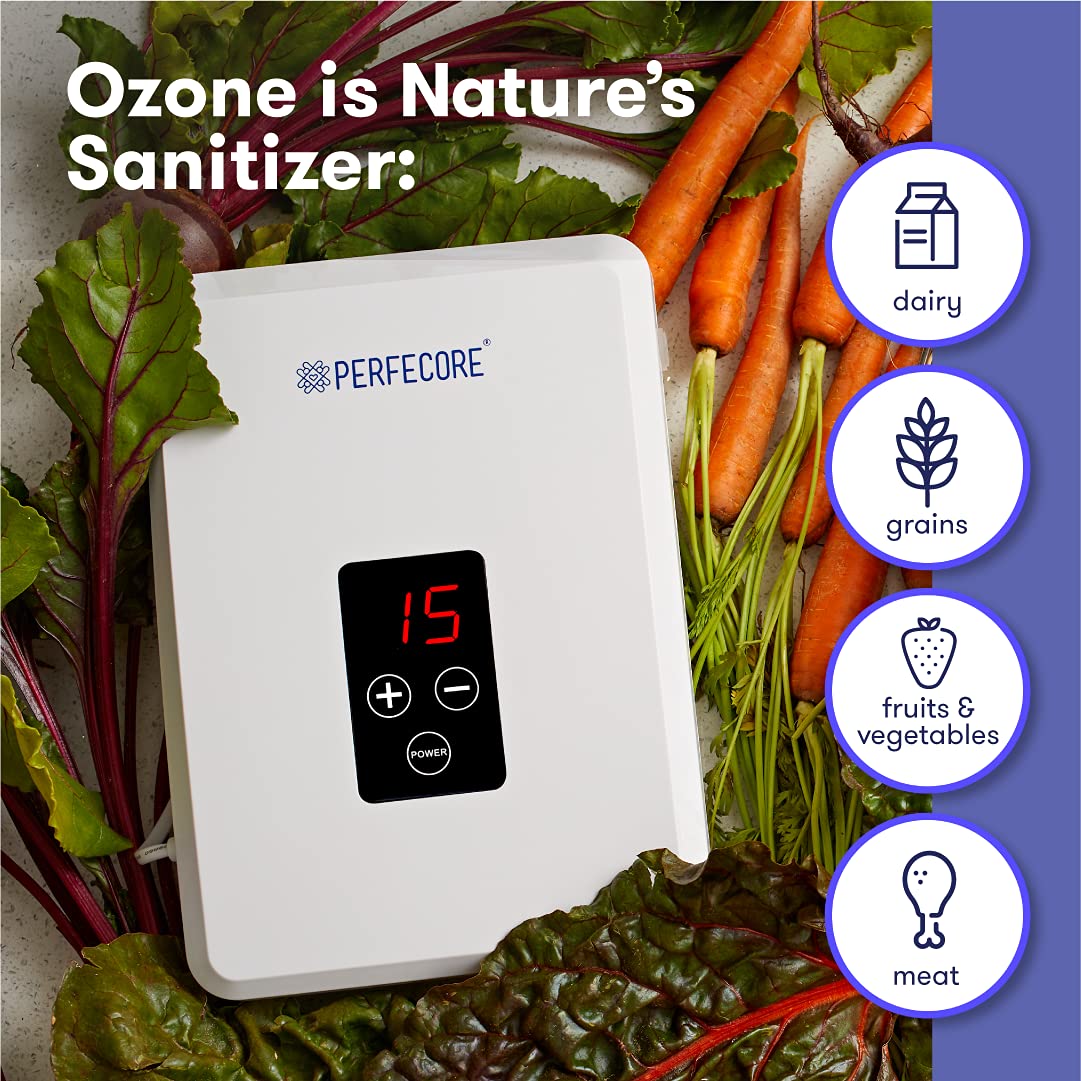 Diffuser stones included with ozonator