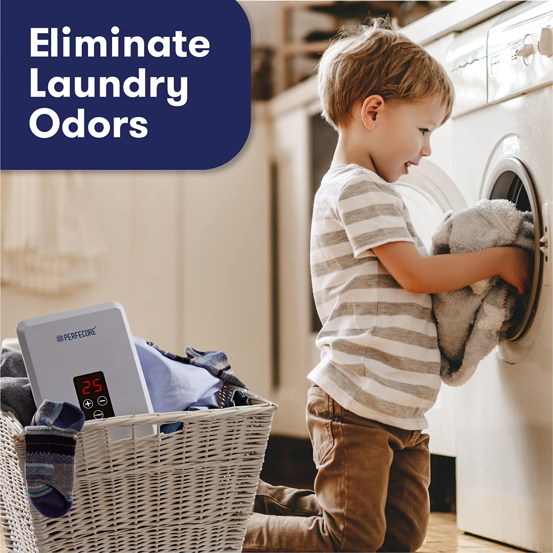 Portable ozonator with wall mount and compact design