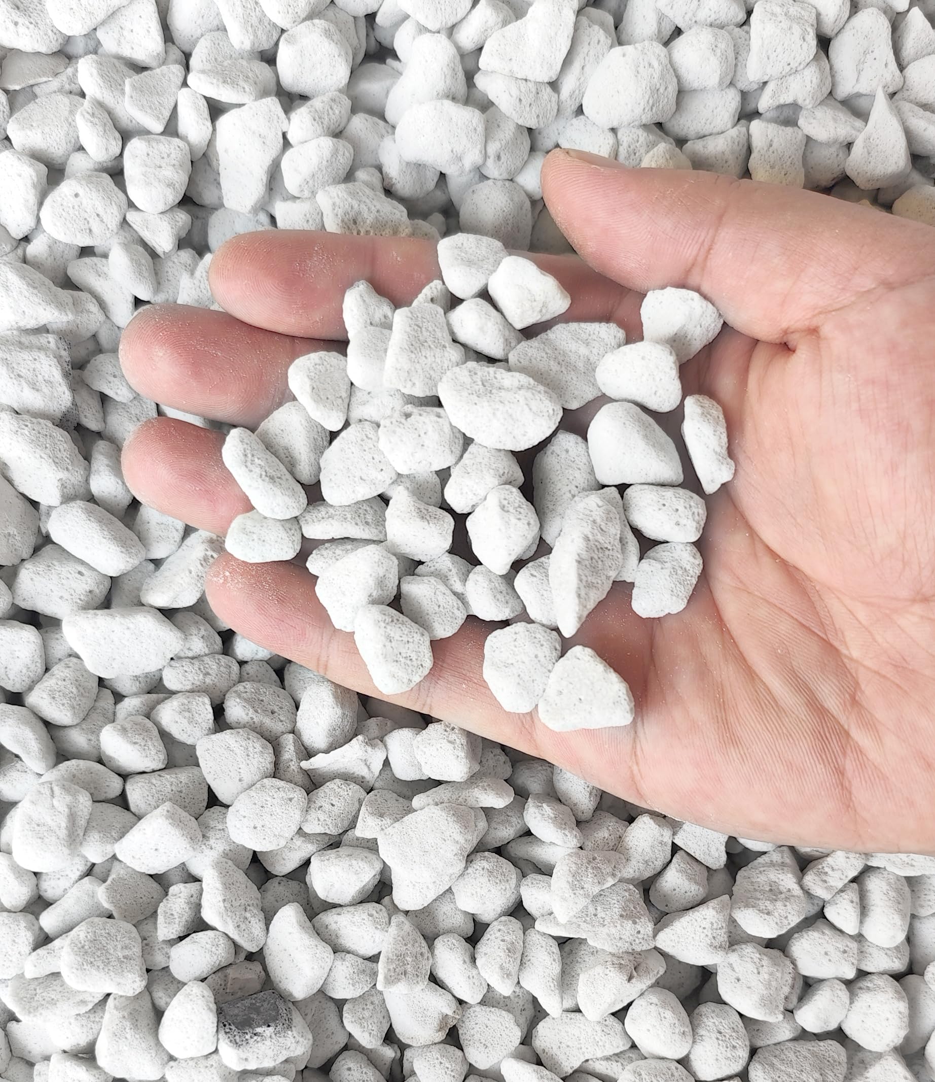 20 qt professional grade horticultural perlite packaging image