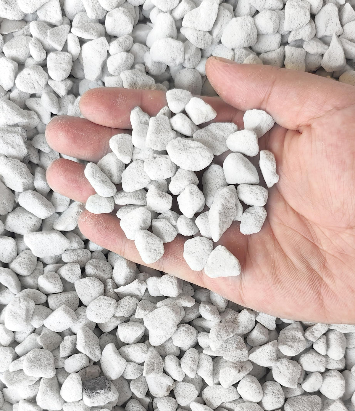 20 qt professional grade horticultural perlite packaging image
