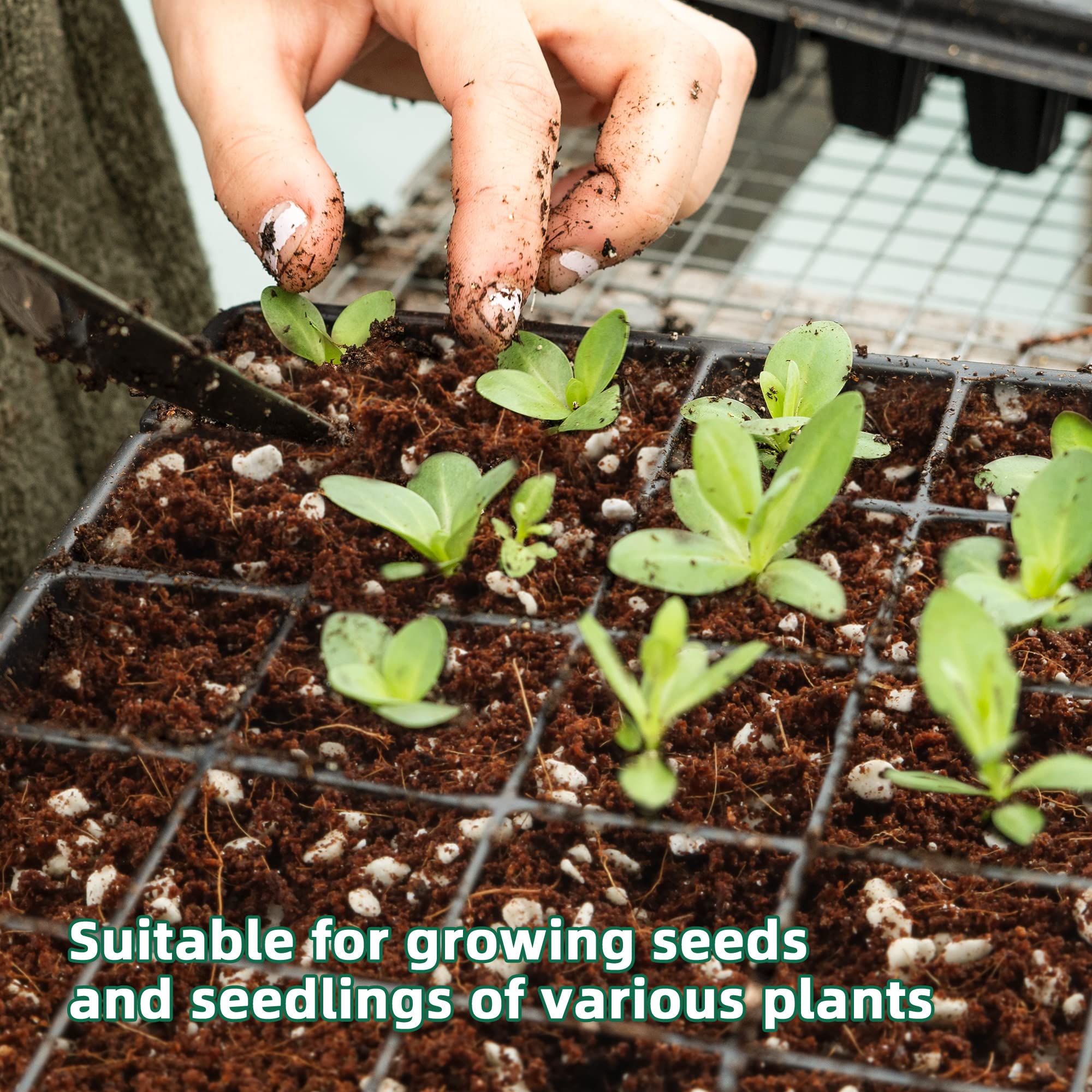 Perlite drainage and aeration for soil image