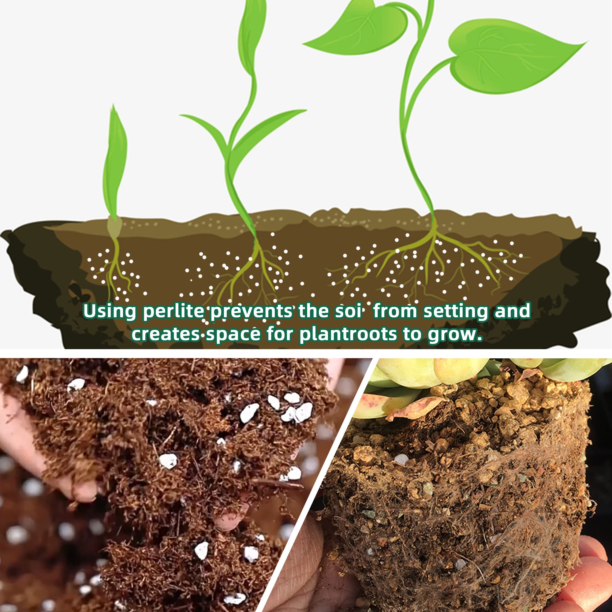 Perlite used as potting soil amendment image