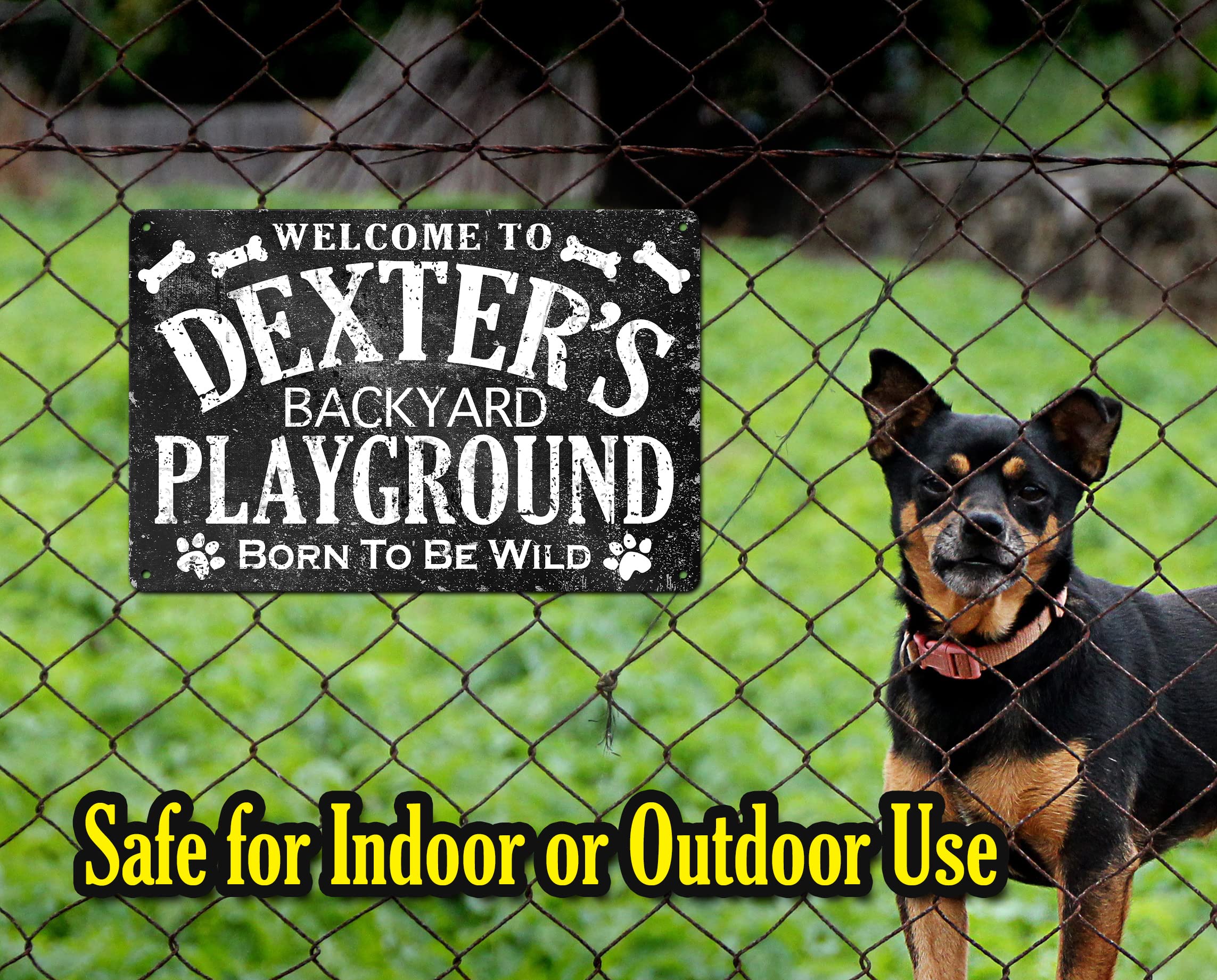 Personalized dog name sign with established date
