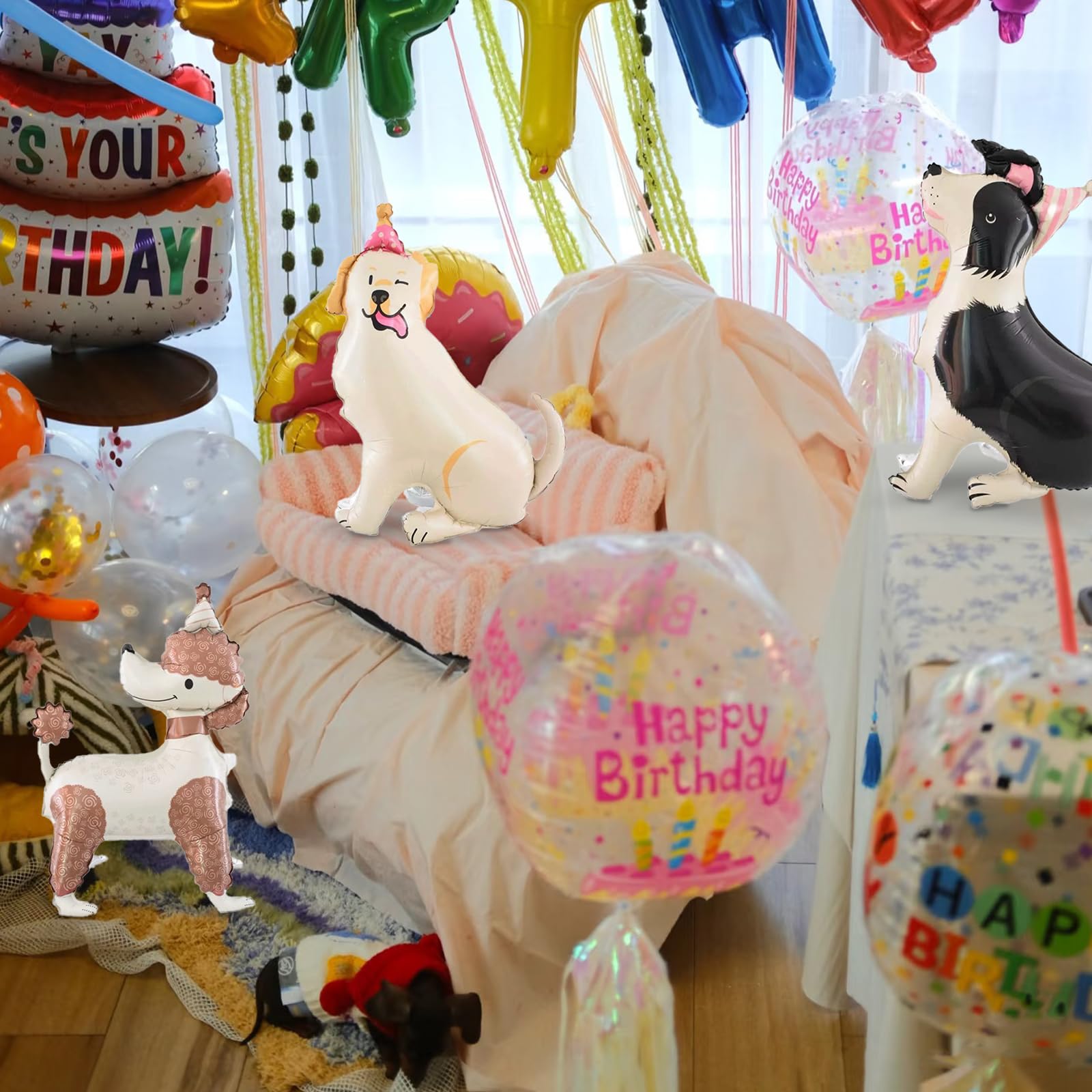 5 piece balloons set for pet party celebrations