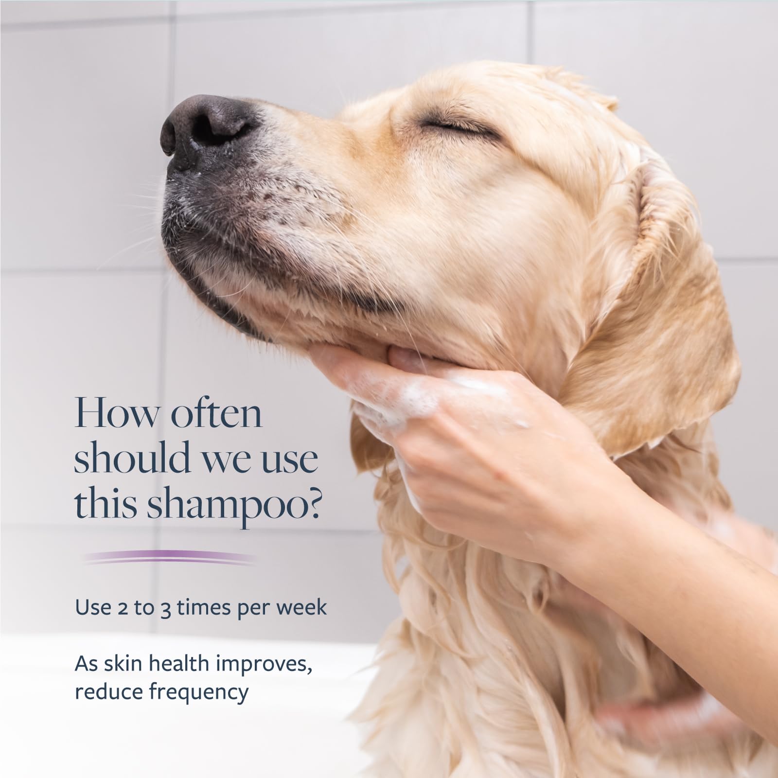 Antiparasitic antiseborrheic wash for dogs label close up