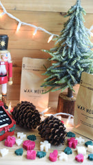 Winter Wax Melts vegan cruelty free