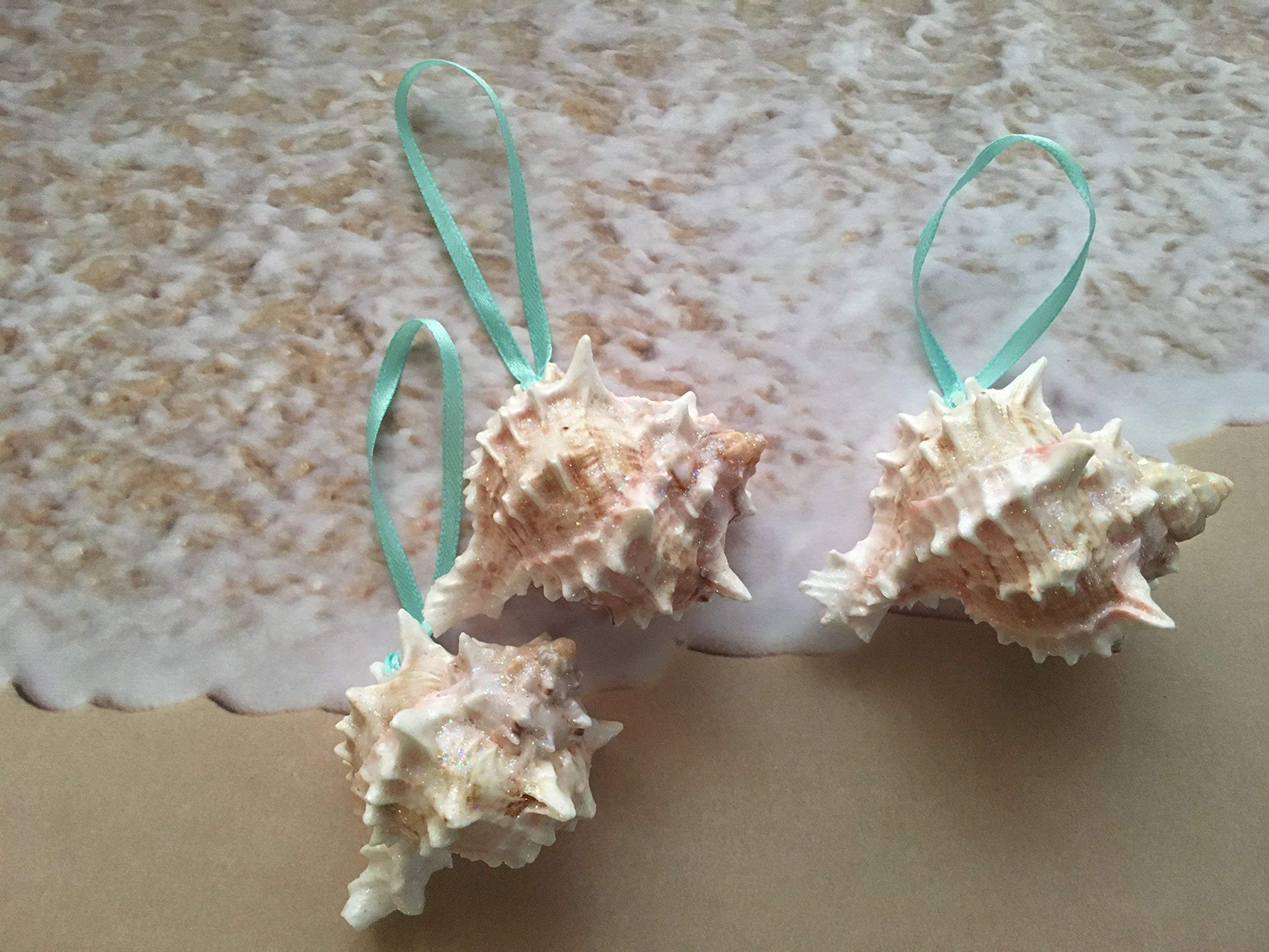 Turquoise ribbon attached to pink murex seashell ornament