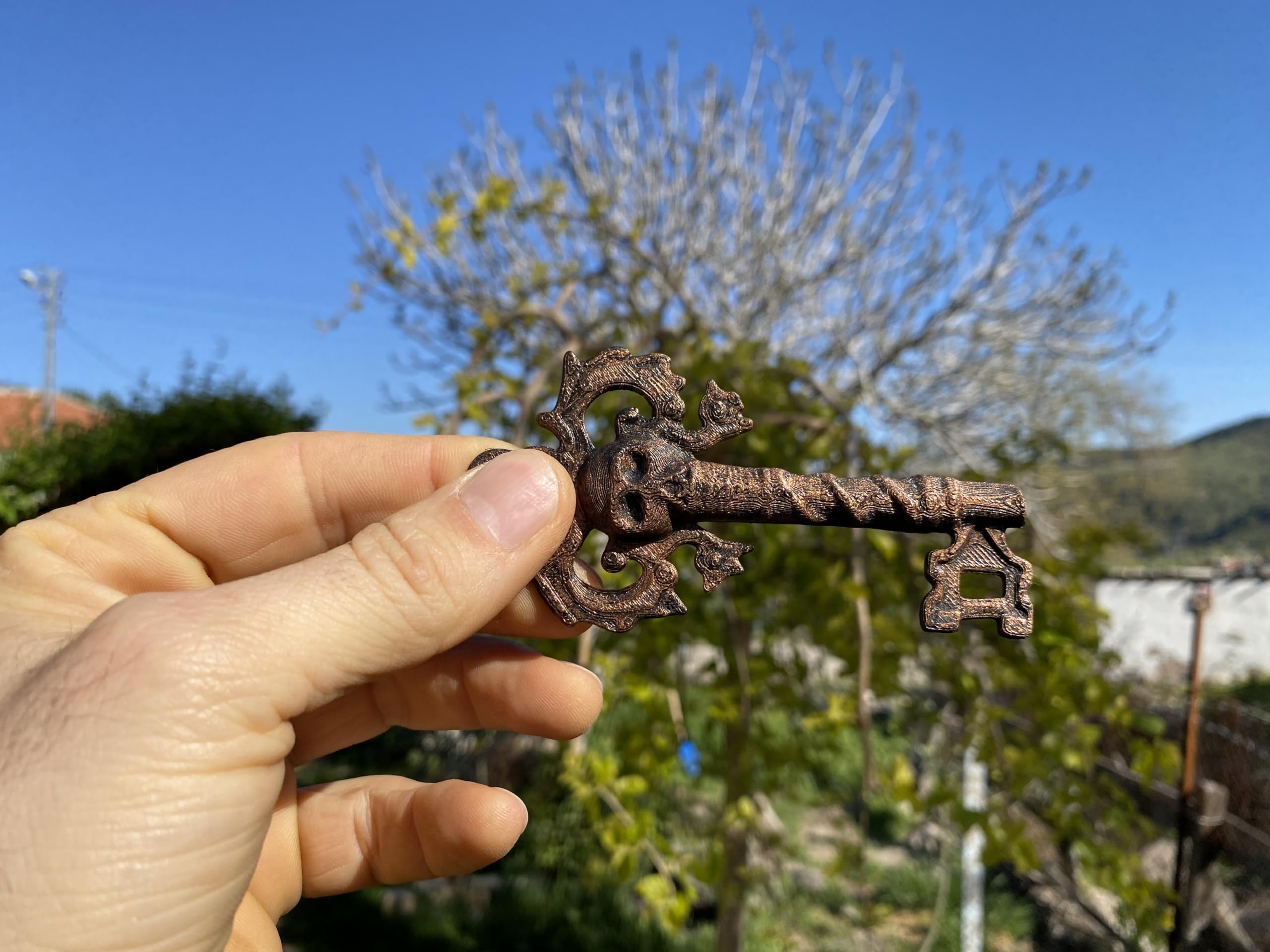 PLA eco-friendly pirate key prop