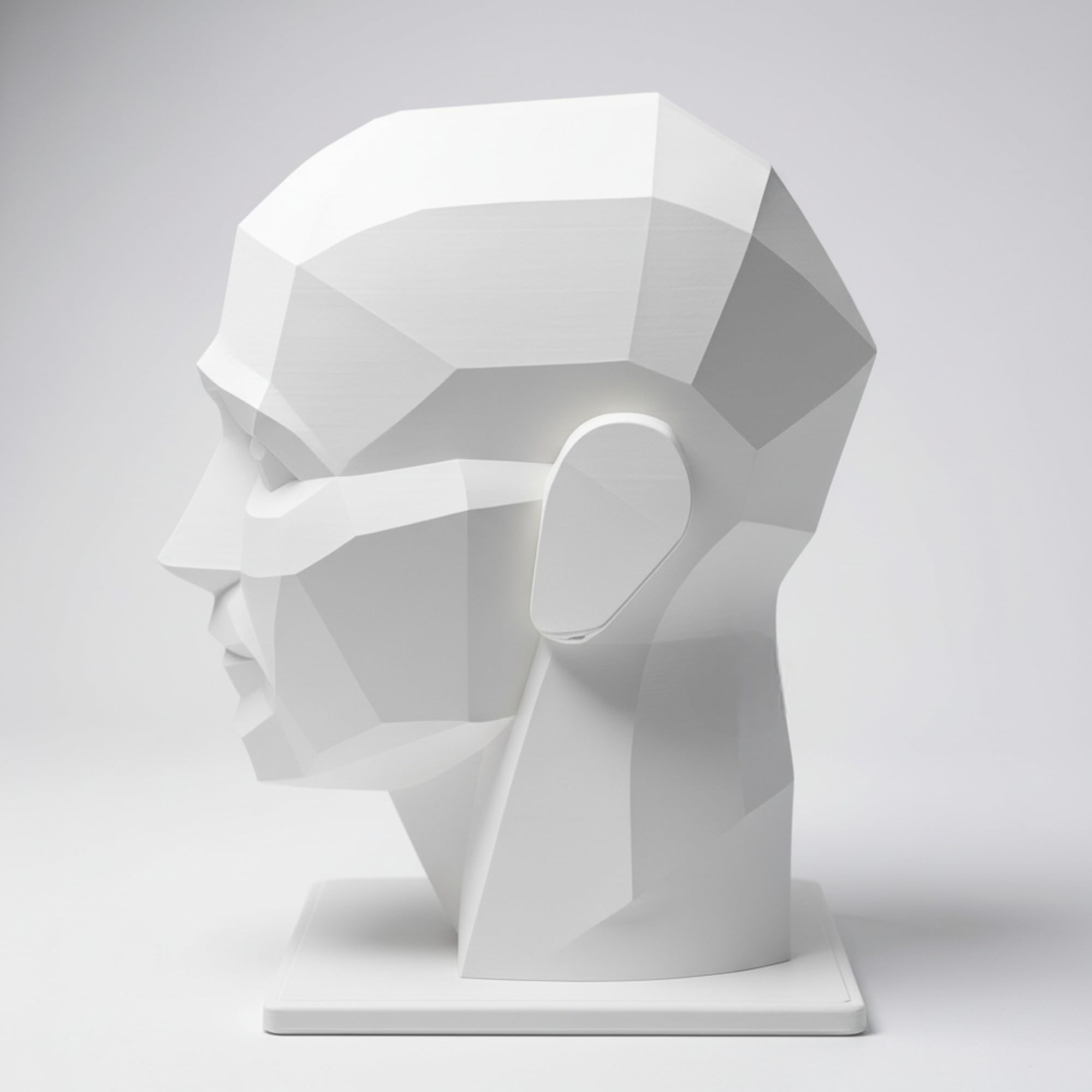 Planar Bust drawing model US made