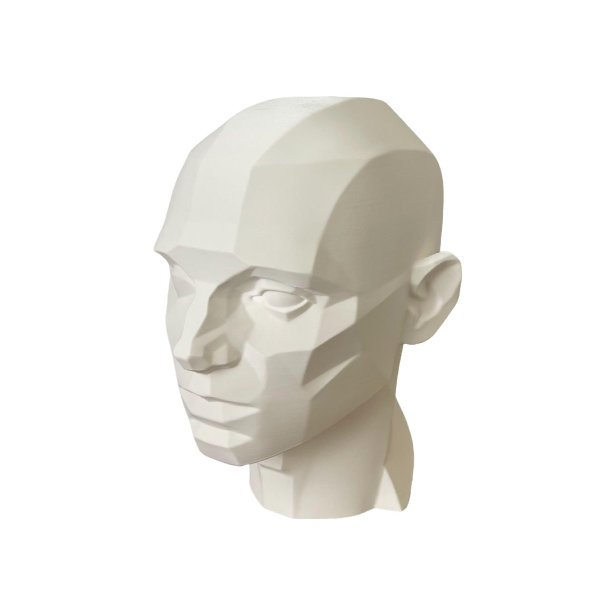 Planar head XL White 10in drawing model for medical and artistic study