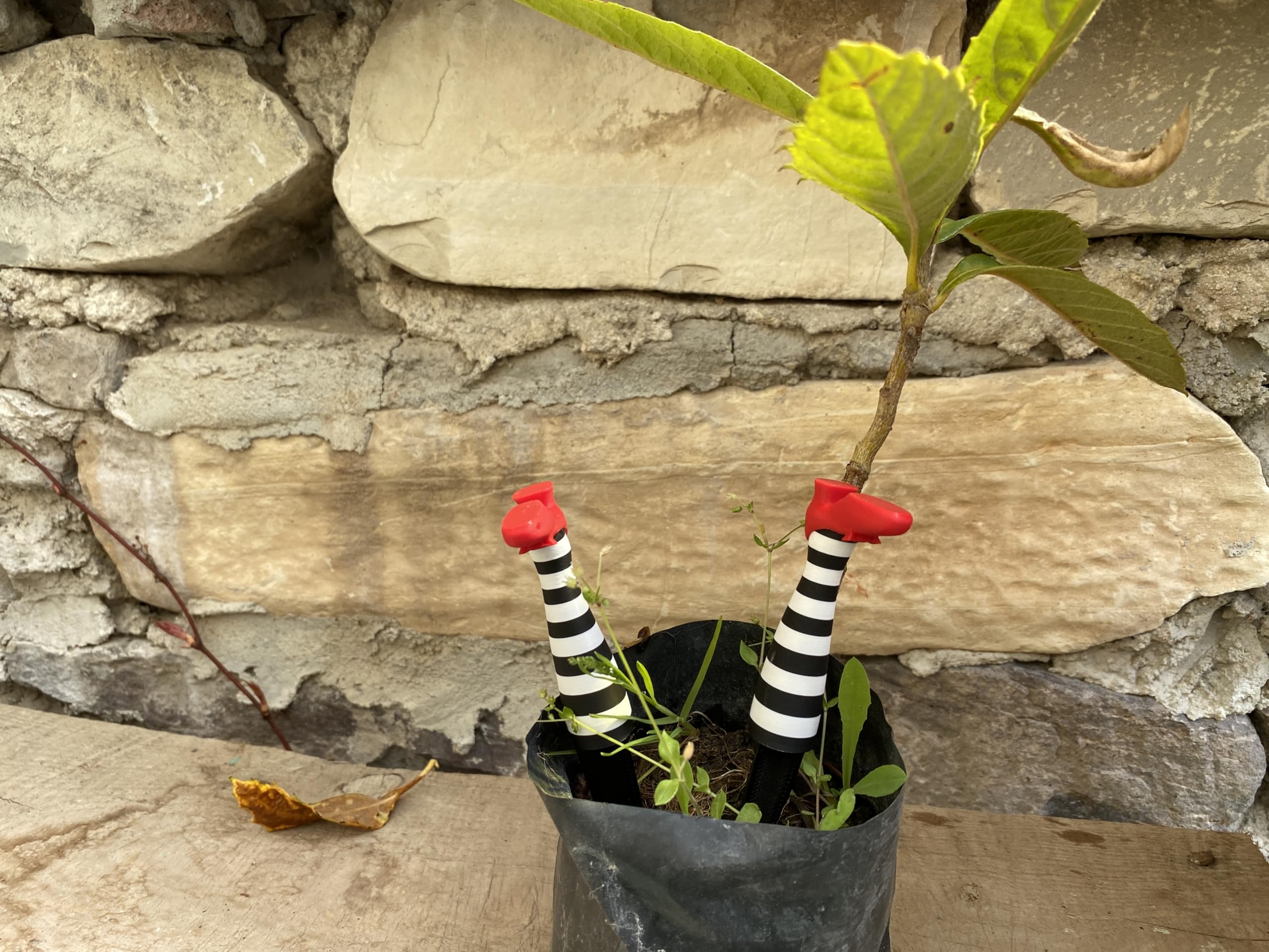 Great gift idea for Halloween lovers and gardeners