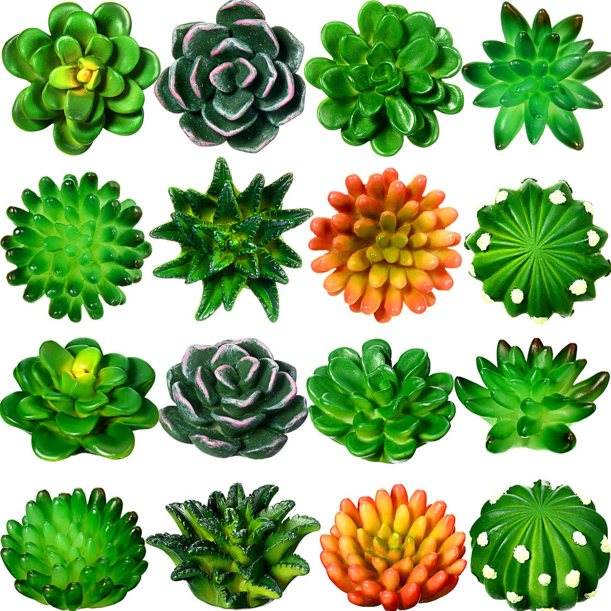 16 piece plant magnets for fridge in 3d cactus style