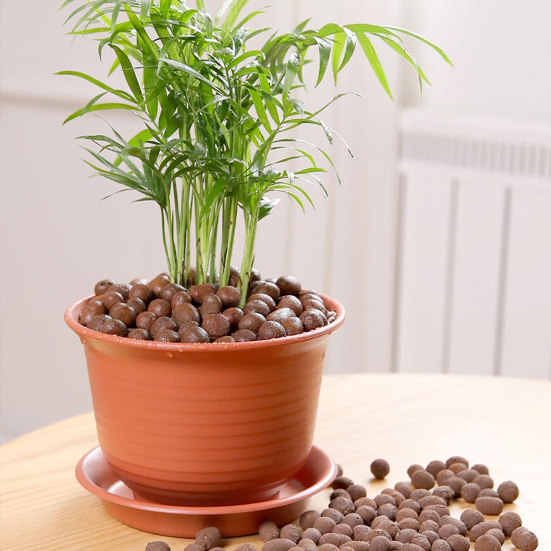 Reusable clay pebbles for herbs succulents and more