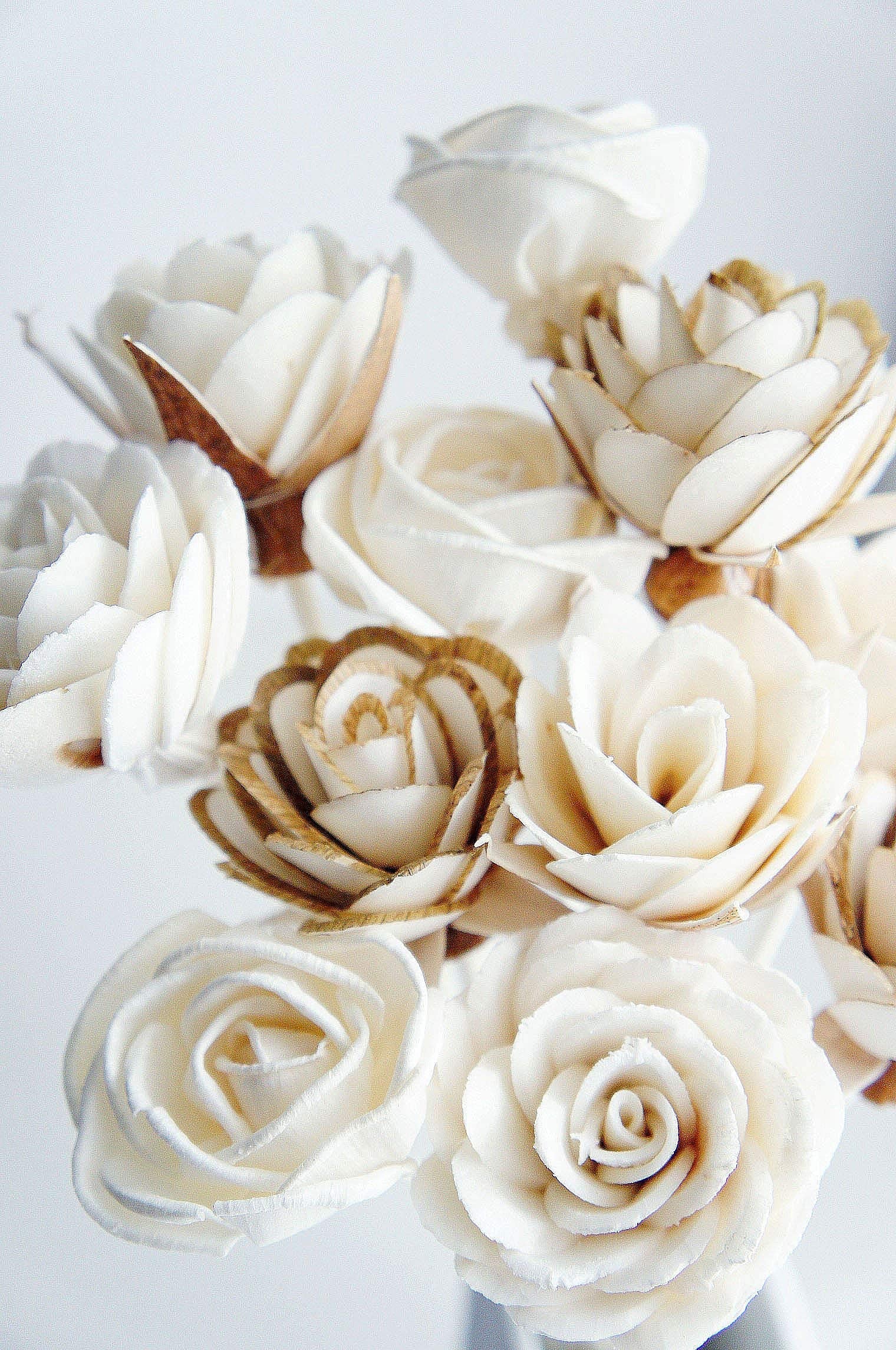 Home fragrance diffuser sticks decor by plawanature