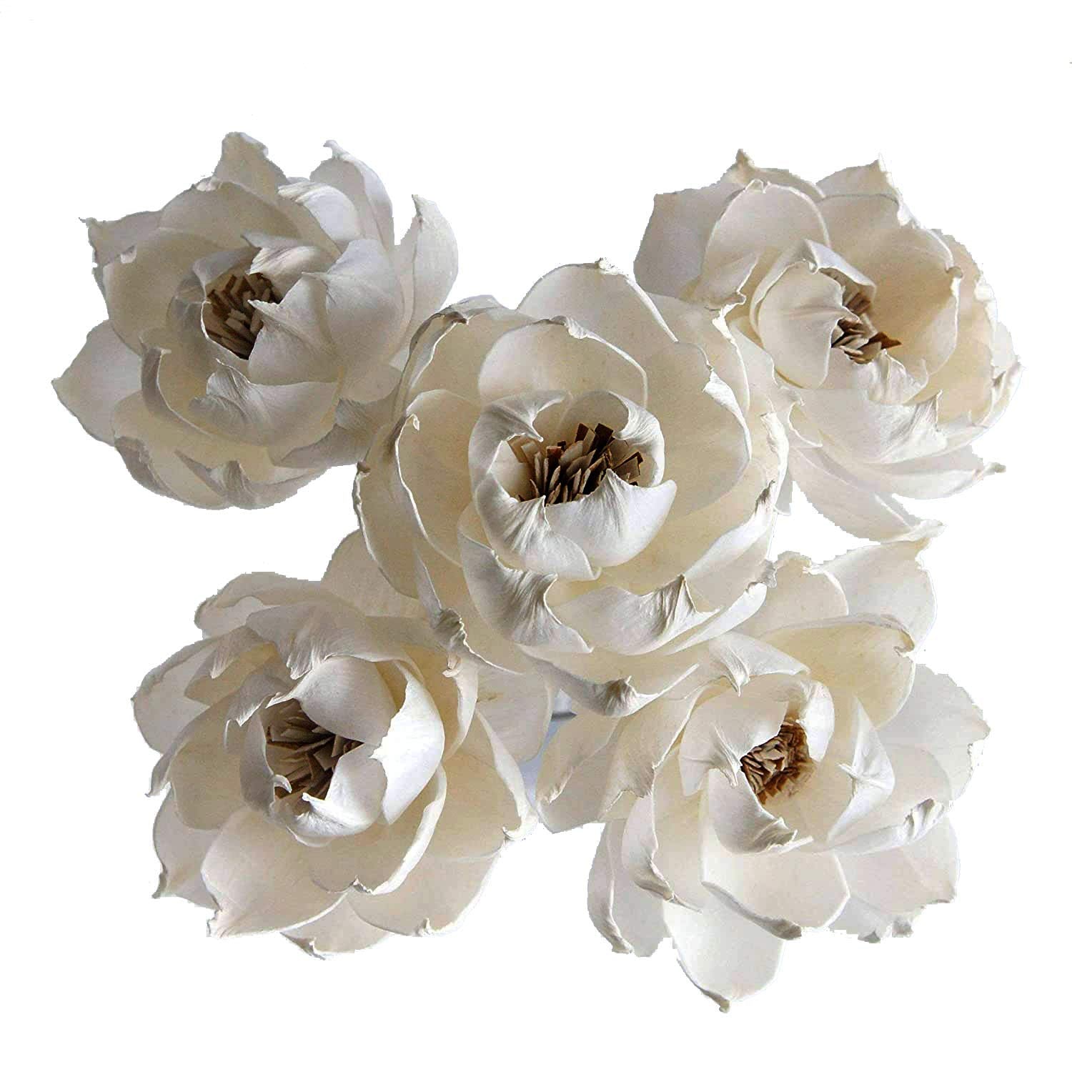 plawanature 5 sola flower diffuser set 3 inch heads