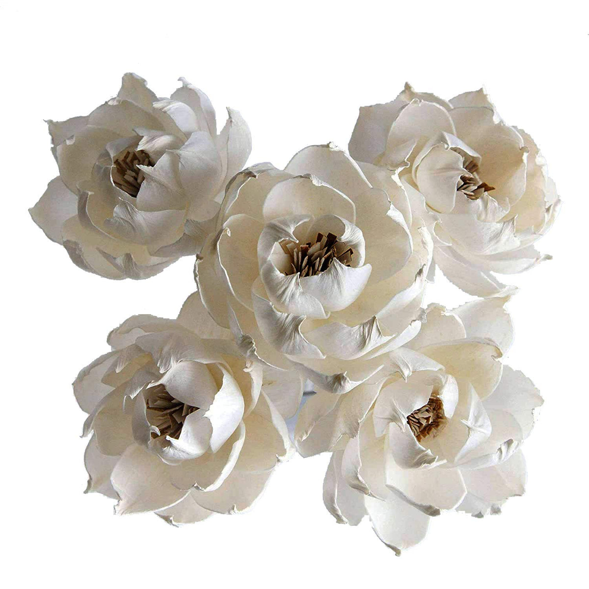 plawanature 5 sola flower diffuser set 3 inch heads