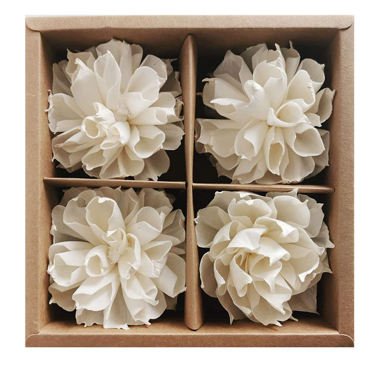 Plawanature Dahlia Sola Flower Diffuser 4 pieces