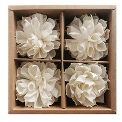 Plawanature Dahlia Sola Flower Diffuser 4 pieces