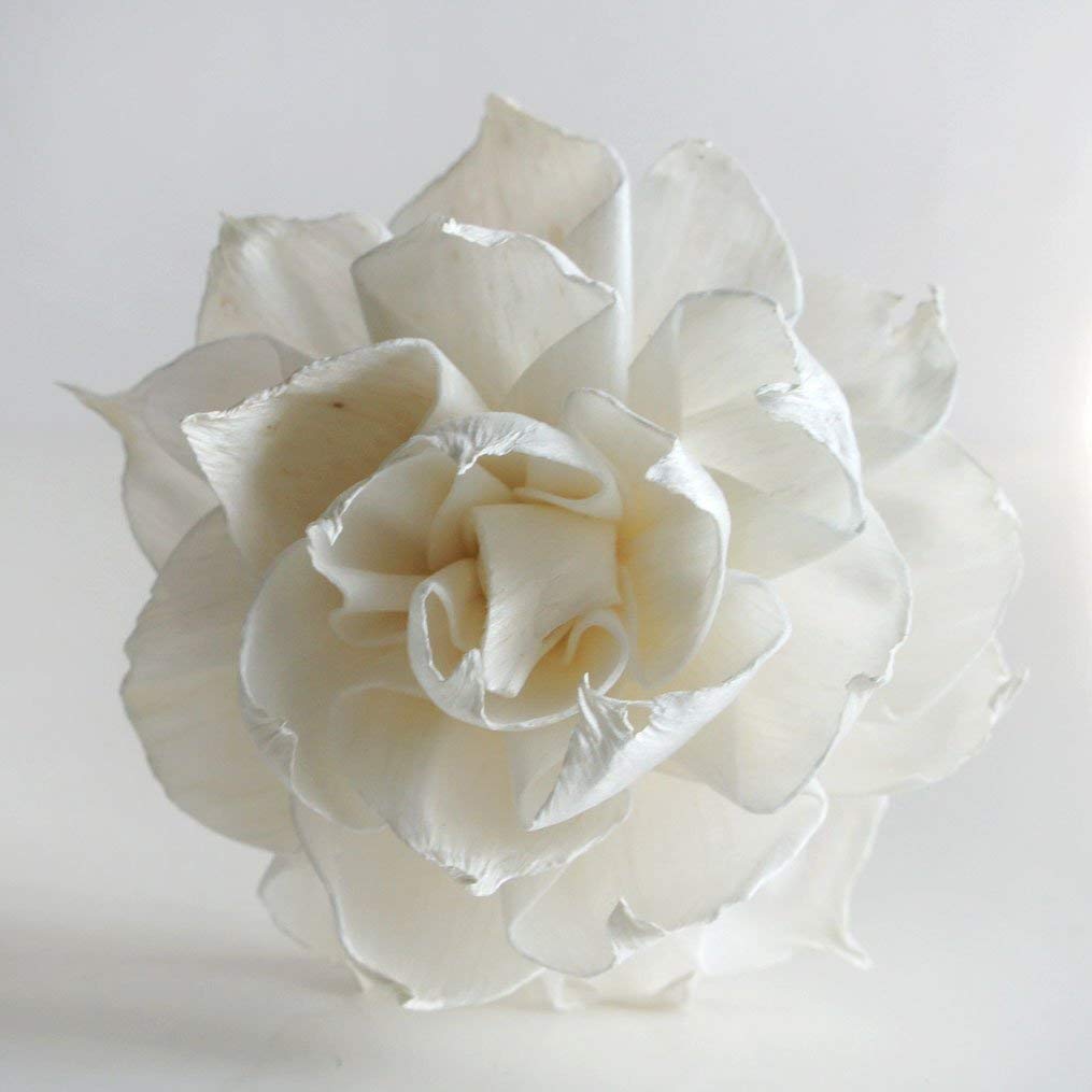 Sesbania wood Sola flower component for diffuser image