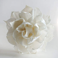 Sesbania wood Sola flower component for diffuser image