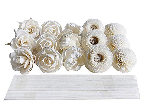 Plawanature DIY 15 mixed Sola Flower diffuser kit top view