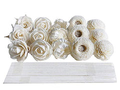 Plawanature DIY 15 mixed Sola Flower diffuser kit top view