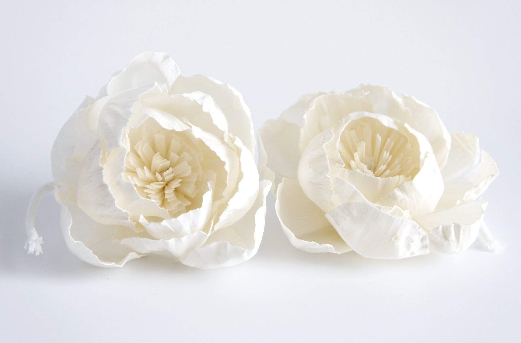 DIY crafts and flower arrangement with sola flower