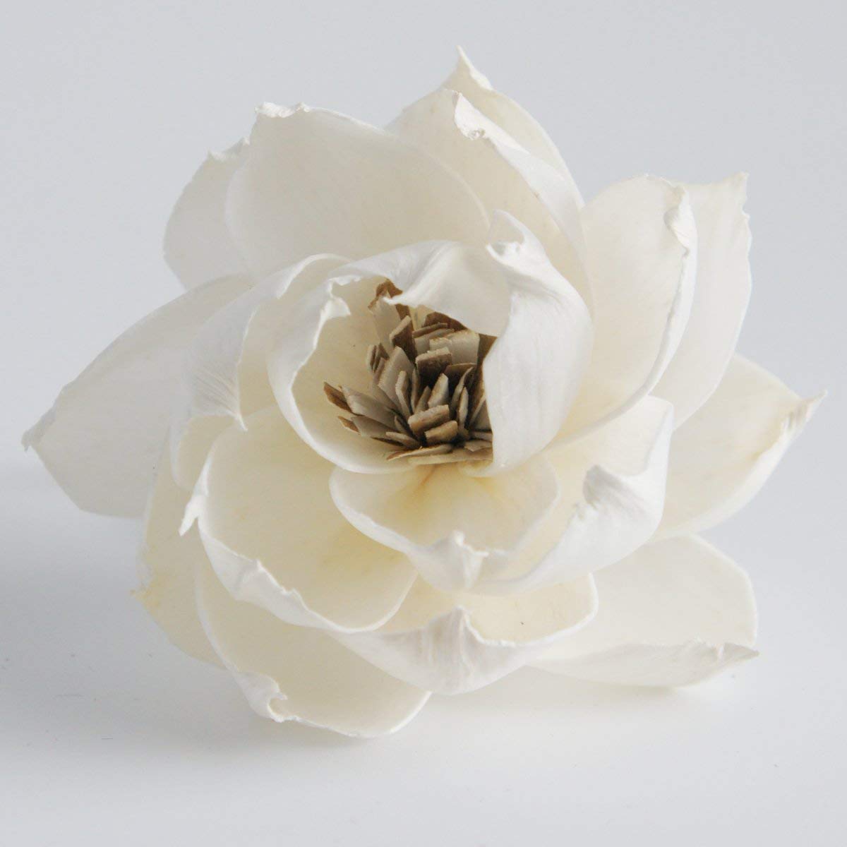 plawanature peony auguste dessert flower sola wood home fragrance accessory