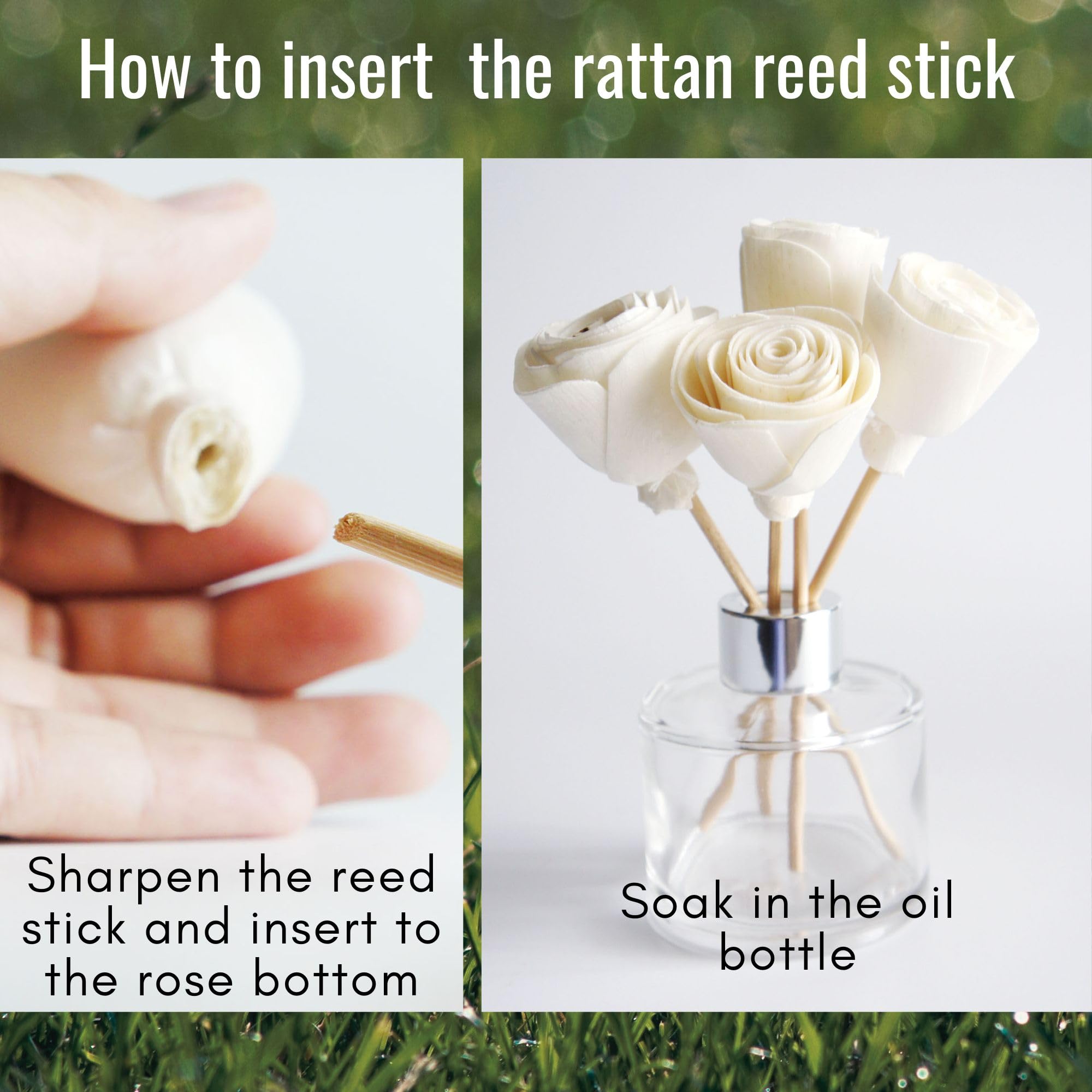 plawanature rattan sticks with sola flowers