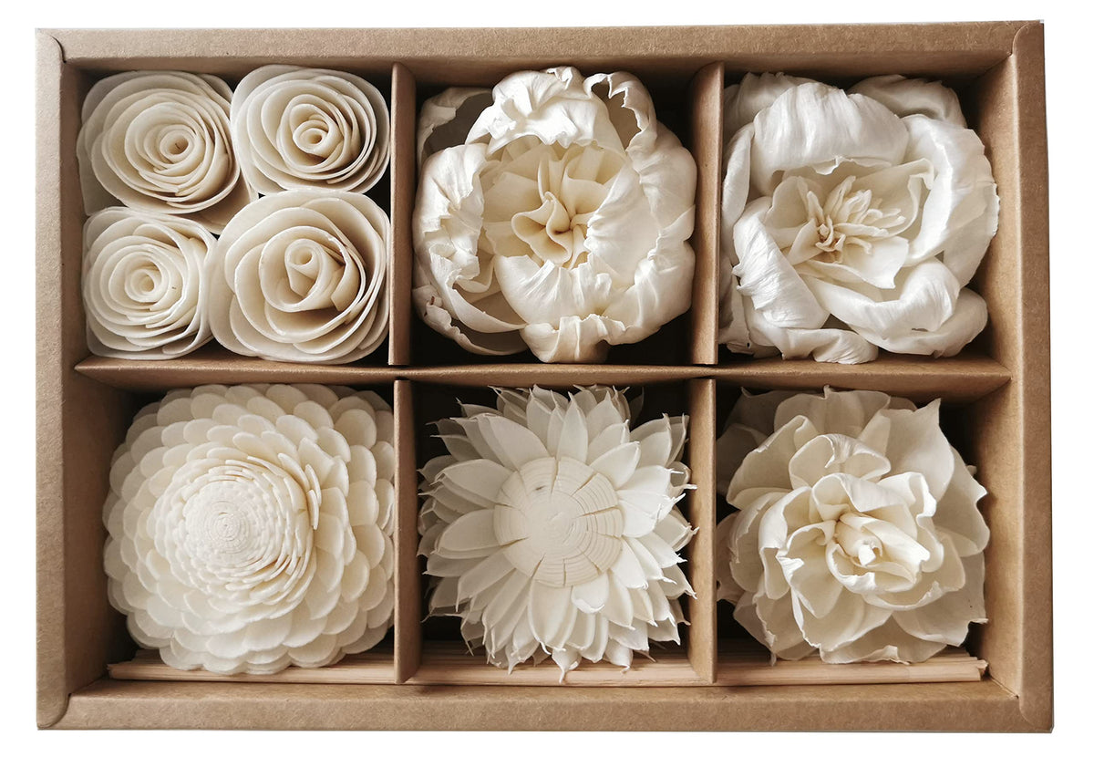 Plawanature reed diffuser packaging with 6 mix Sola Flower