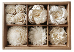 Plawanature reed diffuser packaging with 6 mix Sola Flower